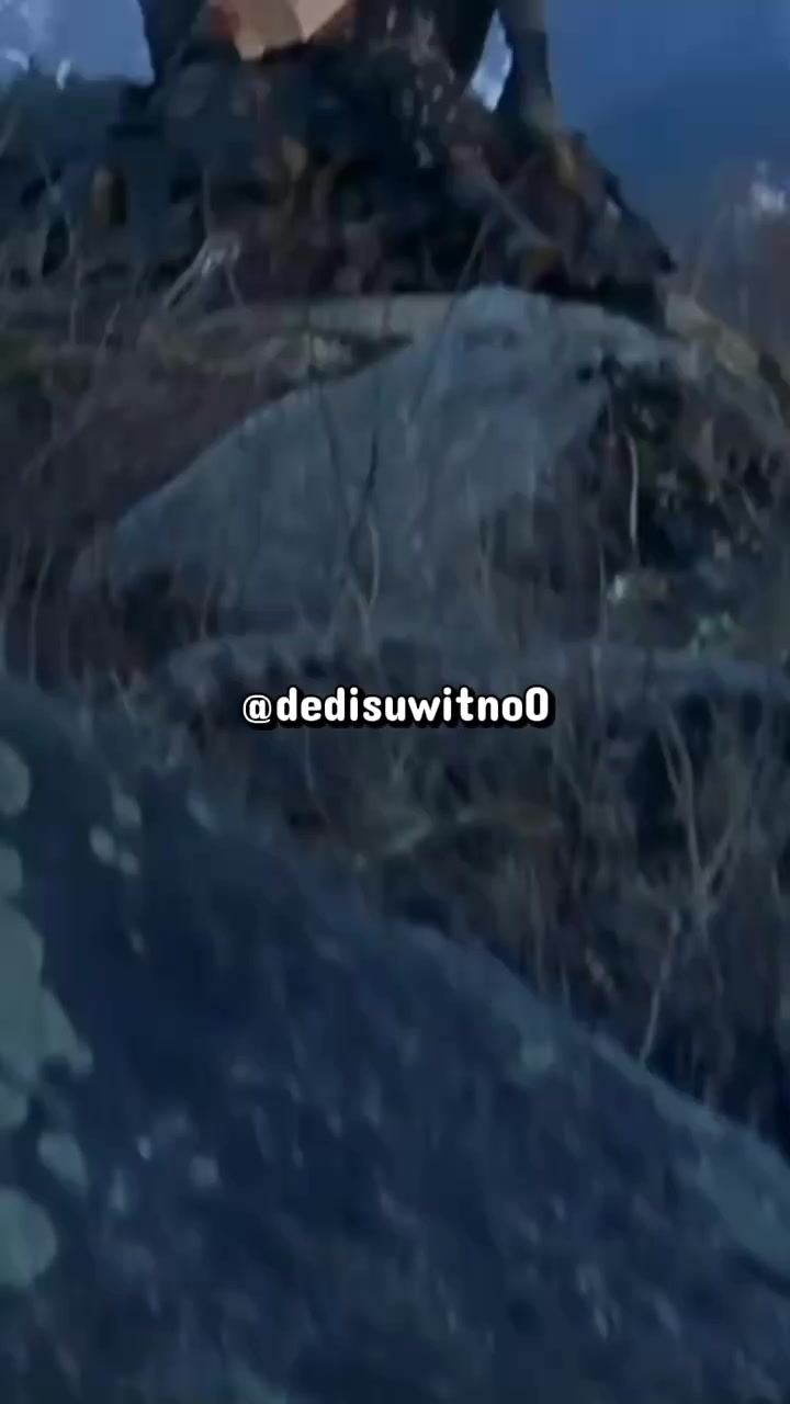 @❦🅓🅔🅓🅘 🅂🅄🅆🄸🅃🄽🄾0