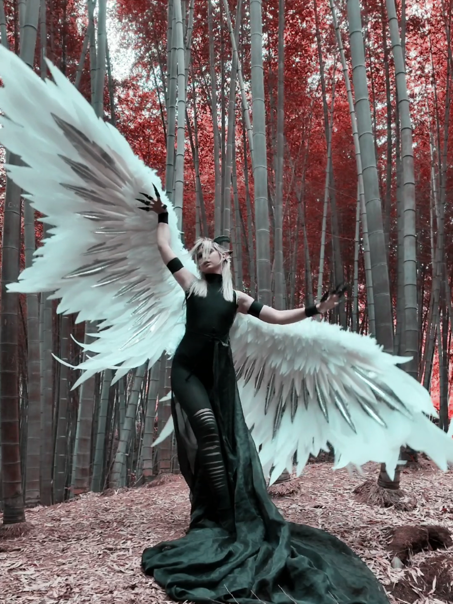 @Angels_PawPrint