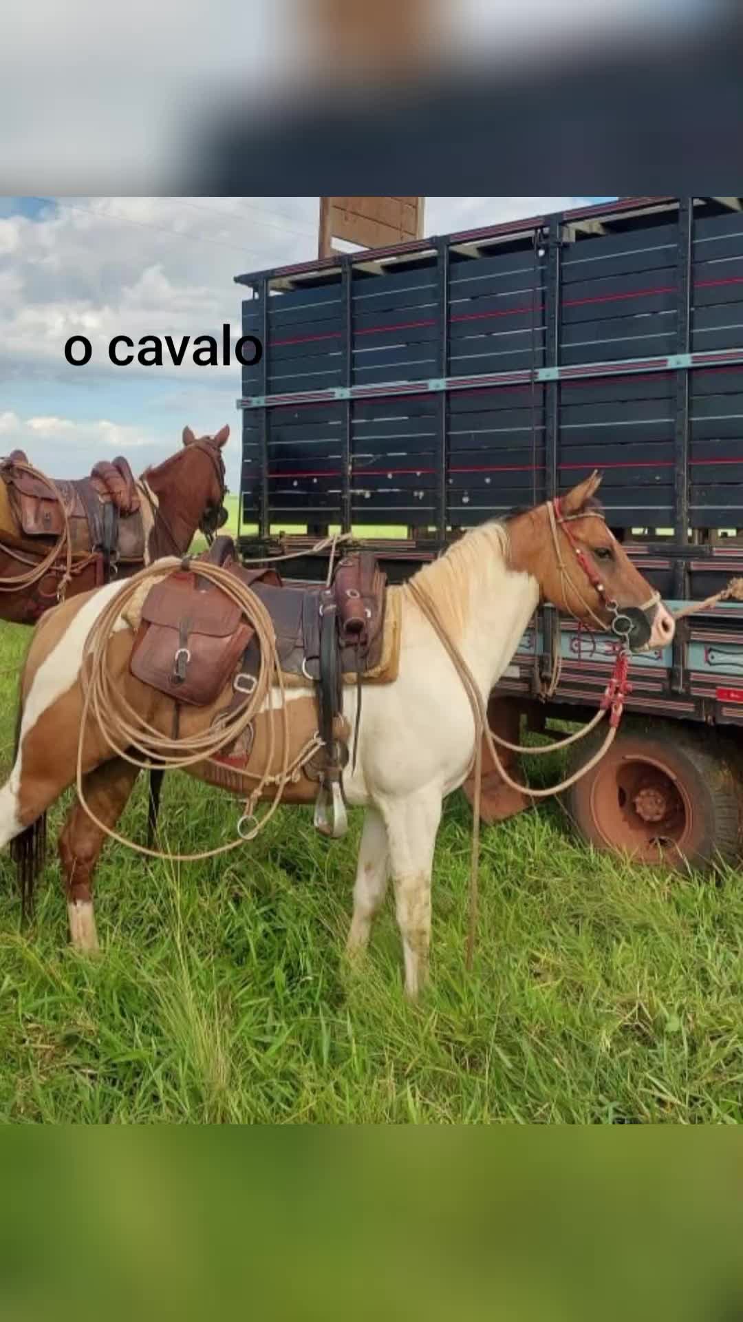 @Joyce 🤪