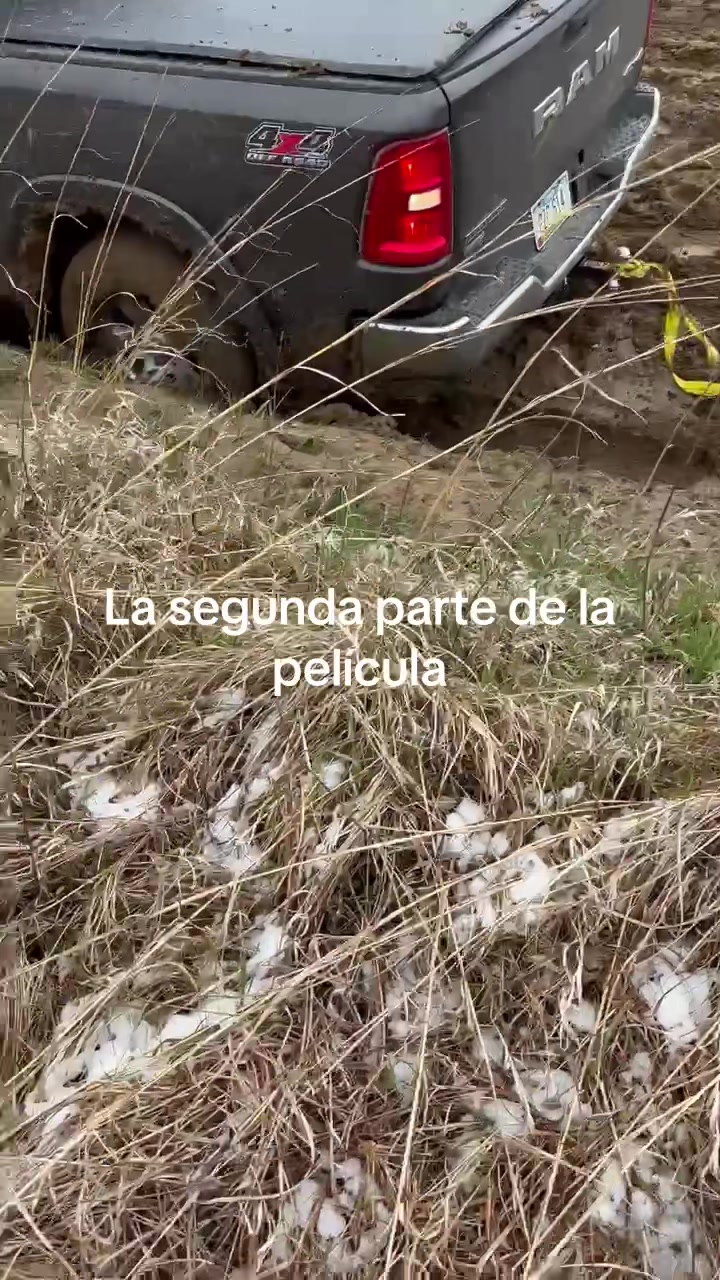 @yaudelcardenas