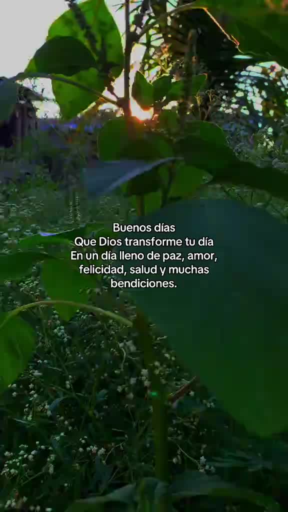 @reymant