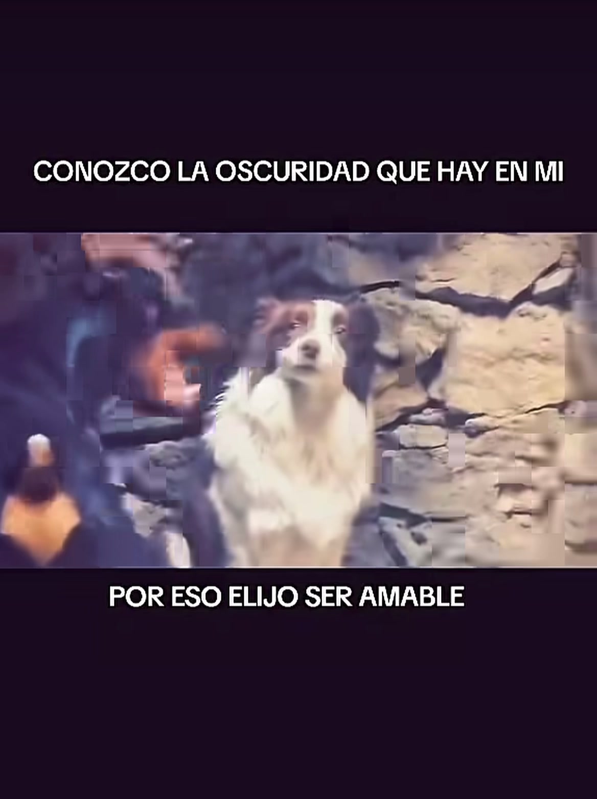 @Patricia Arronal