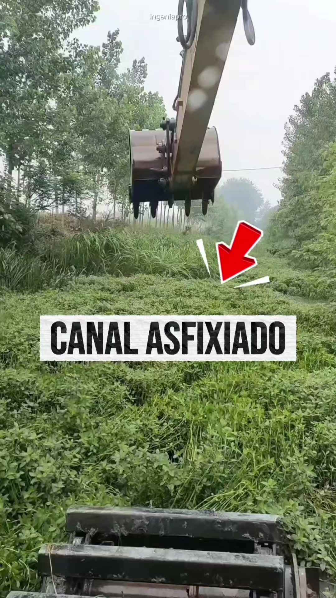 @IngeniaPro