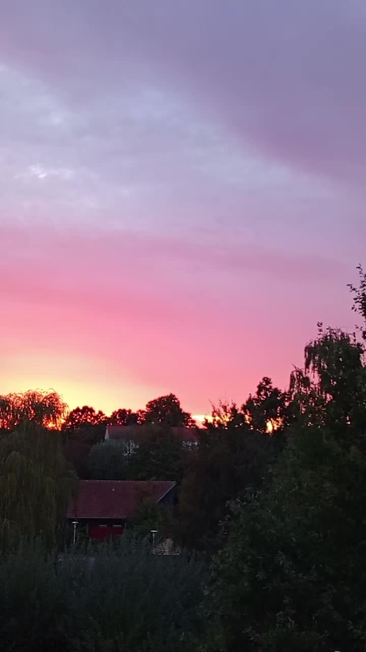 @Svenja1905