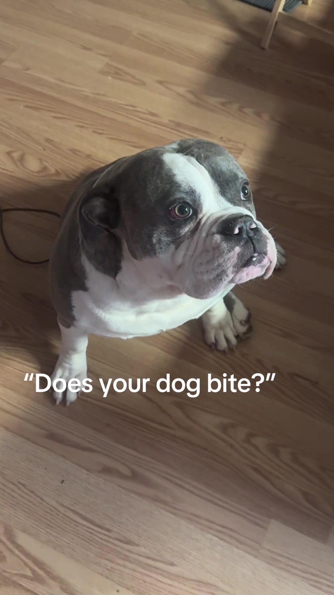 @moosey
