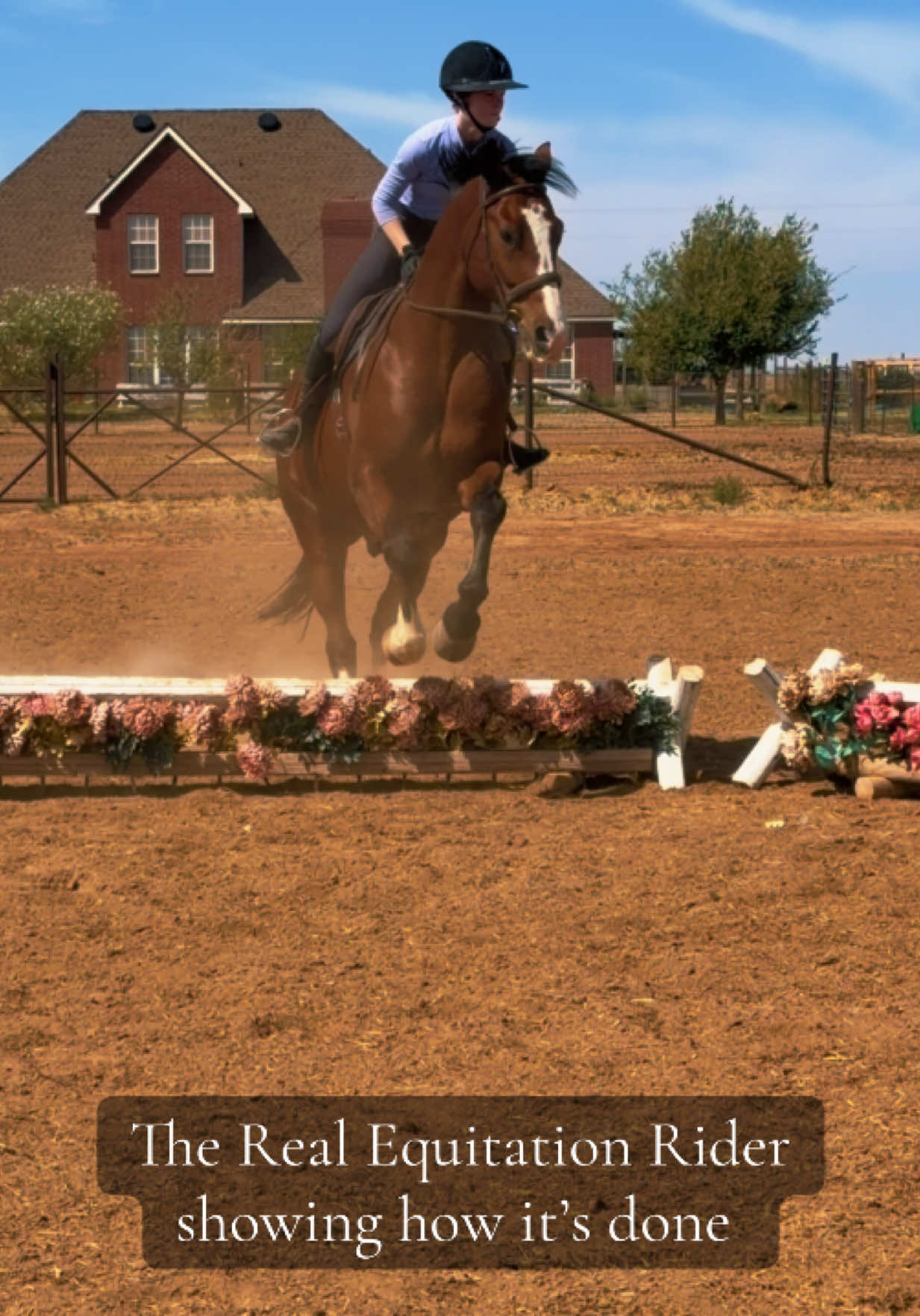@Grace Equestrian TX