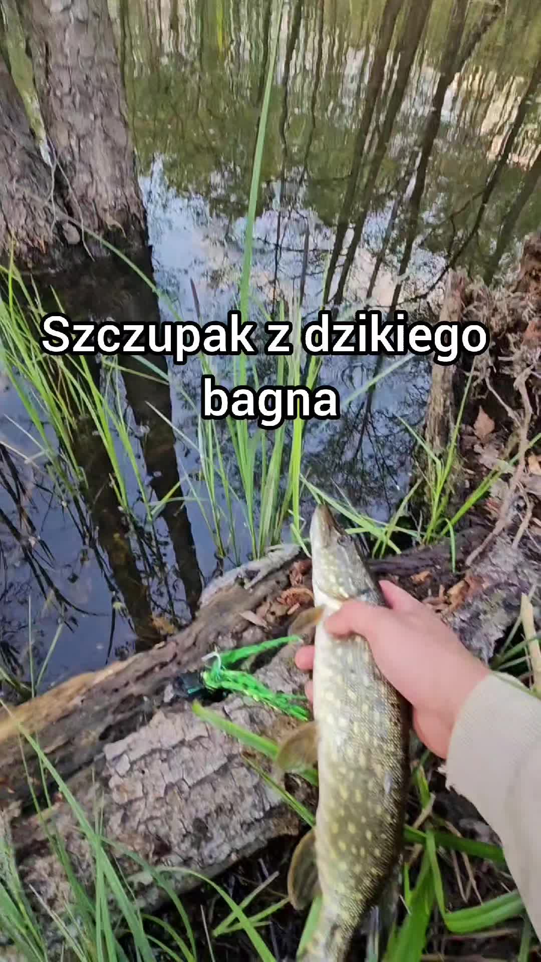 @mfly_lures