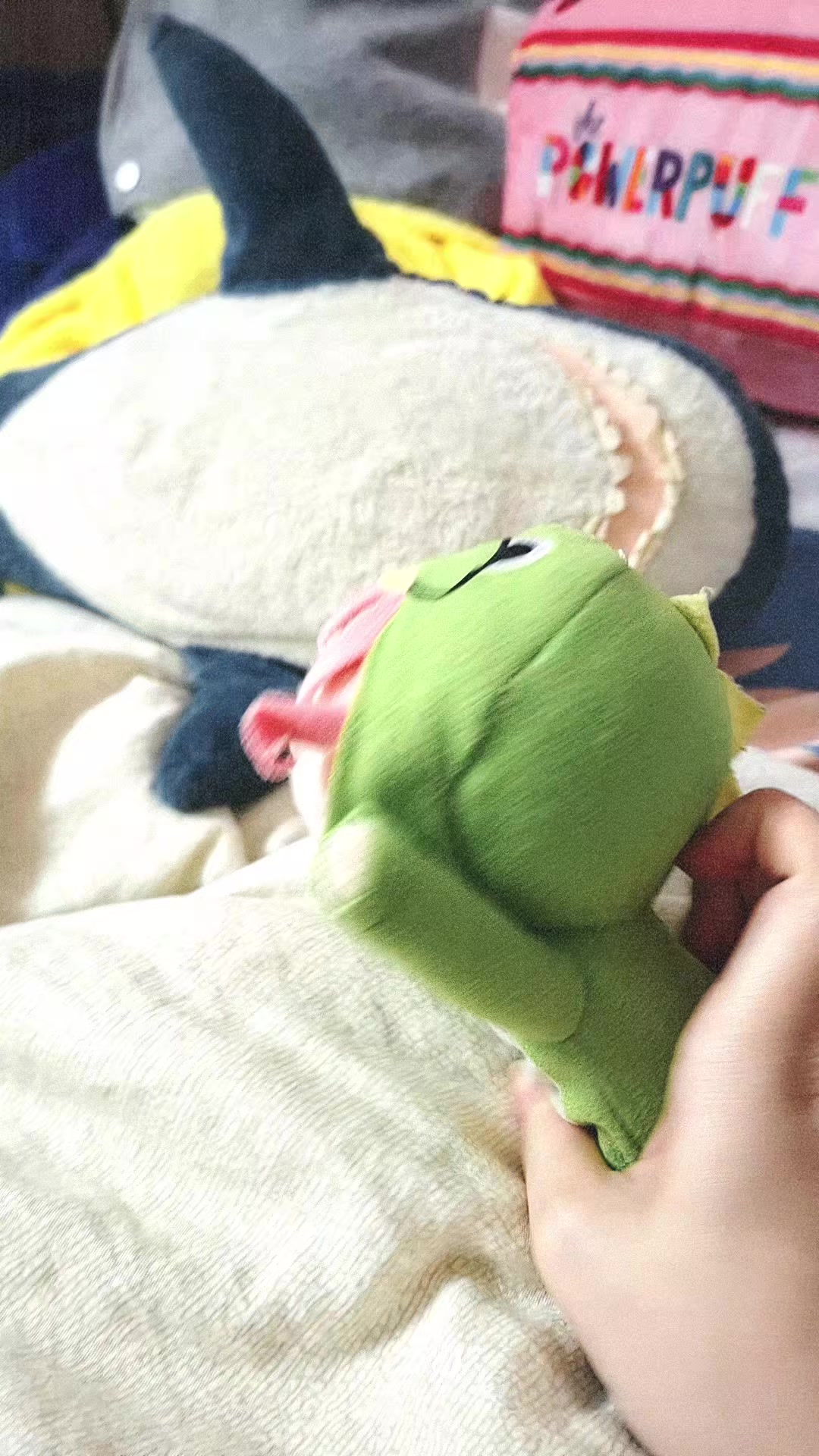 @My daughter's dog Bocchi✅️