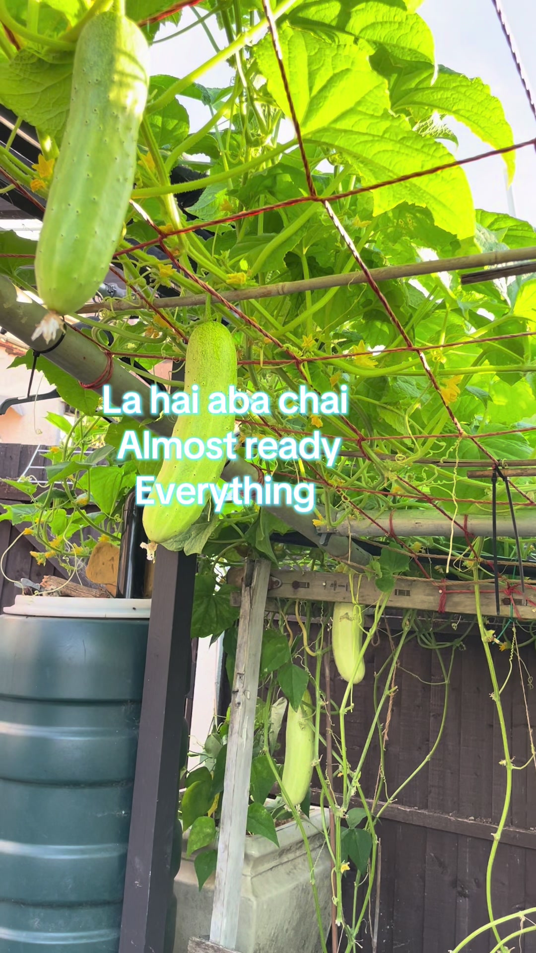 @SP