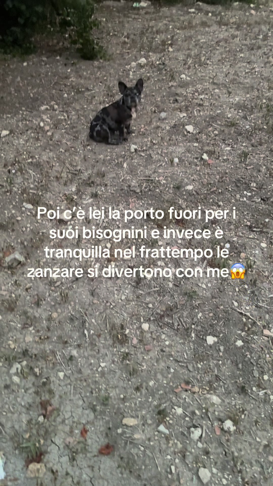 @salvobarra0