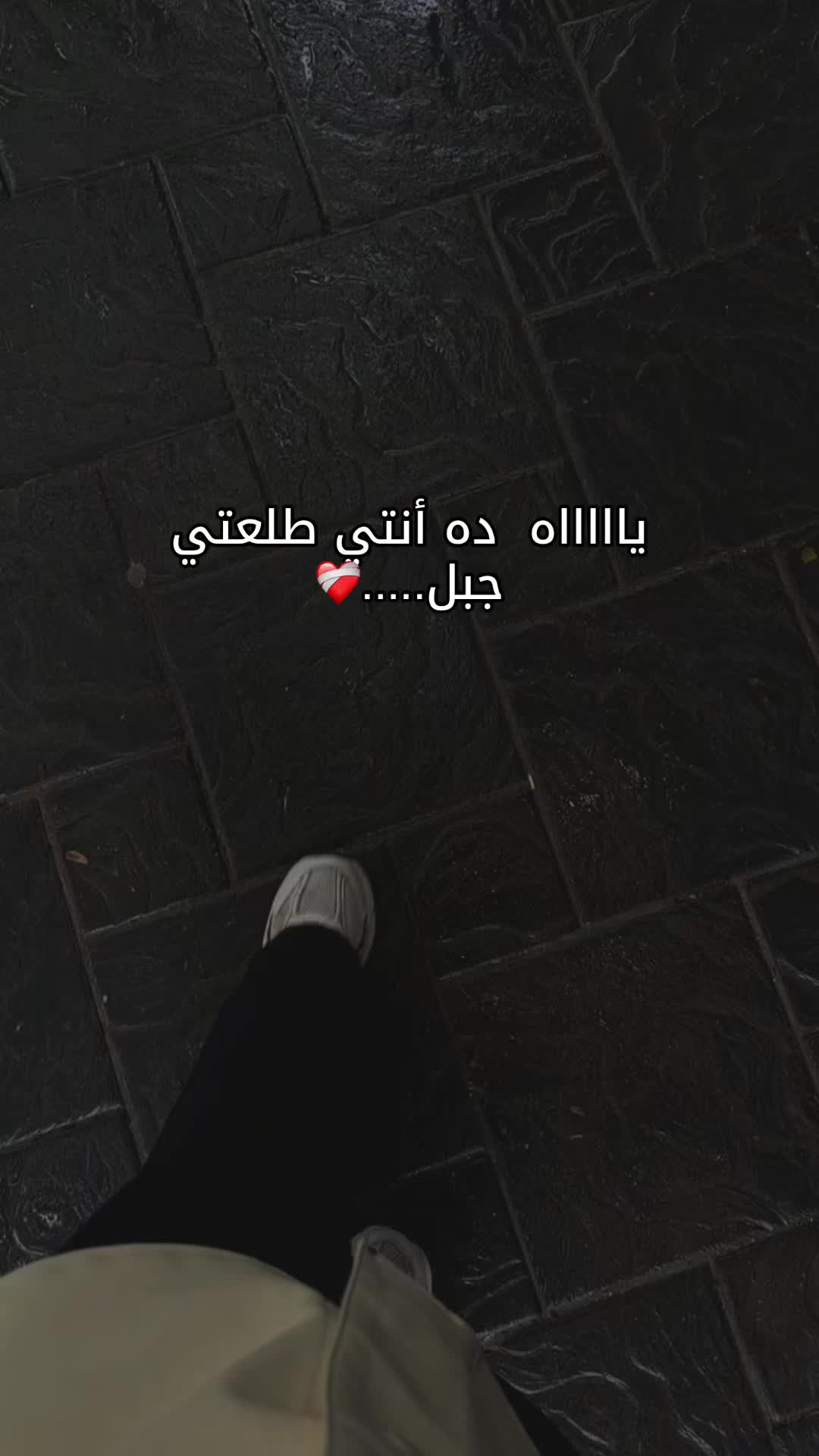 @no24n20