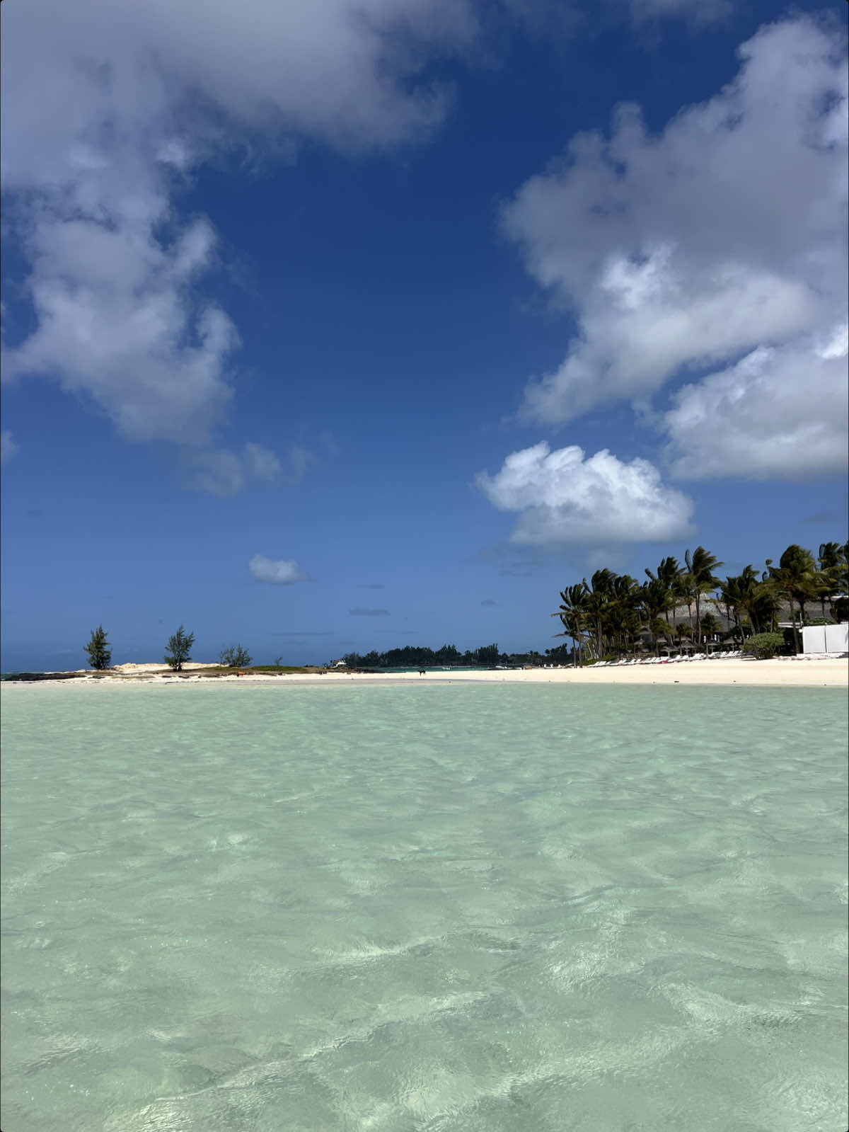 @Marine| Travel Planner Creator