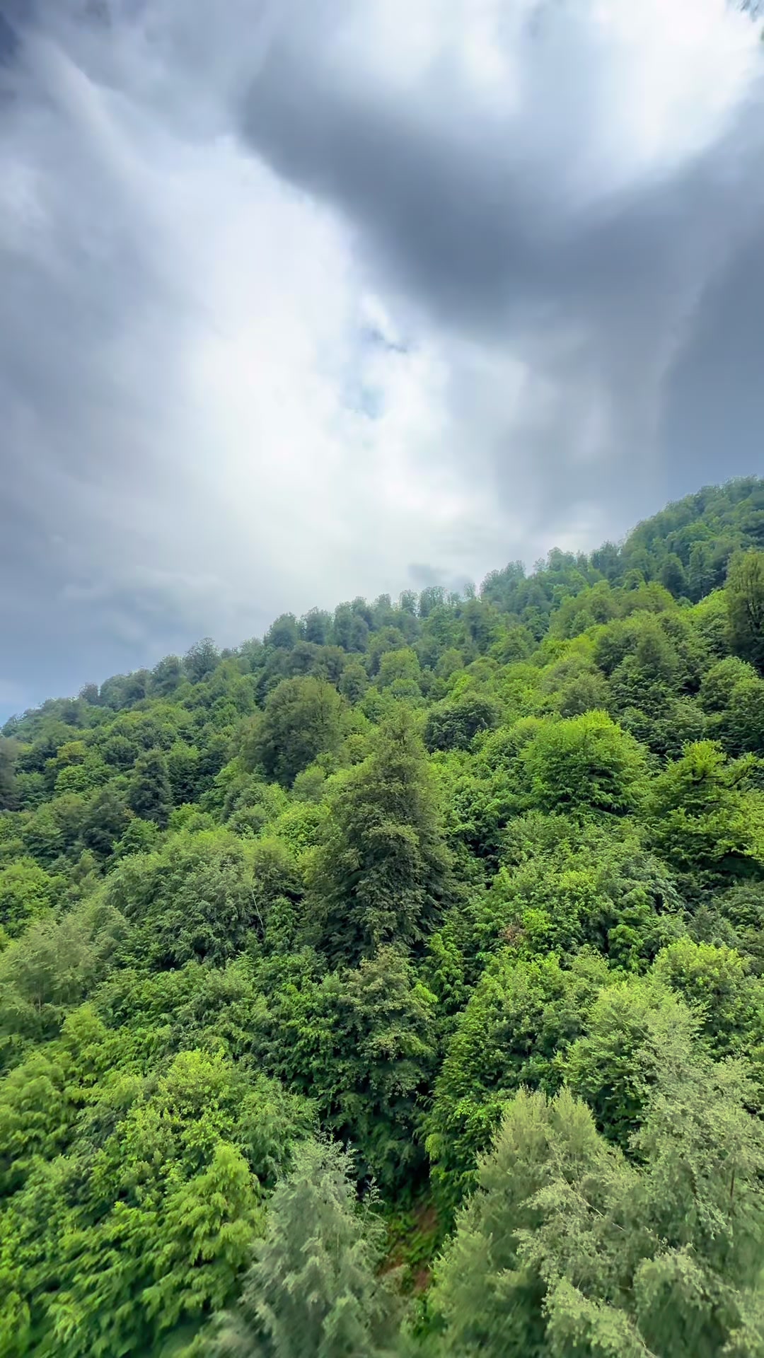 @𝑺.🇦🇿