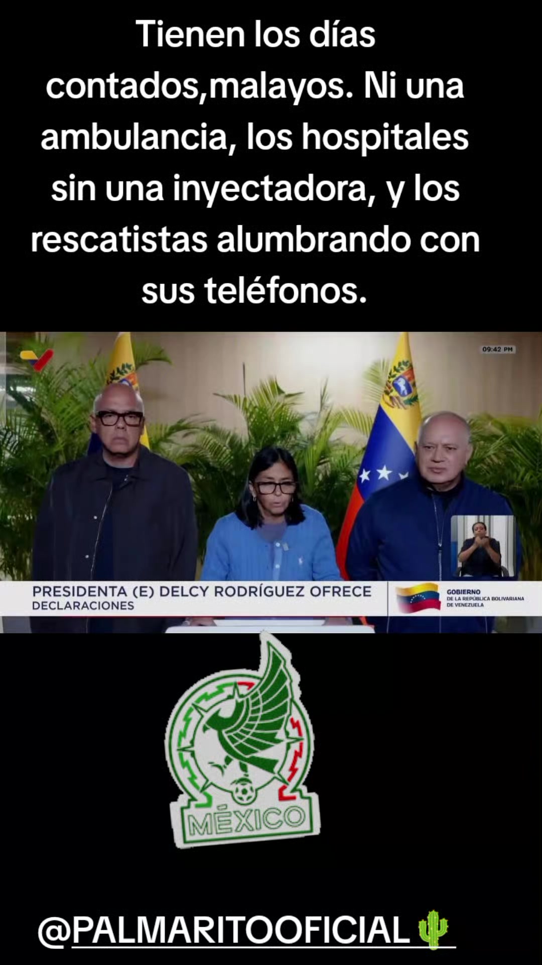 @PALMARITOOFICIAL 🌵