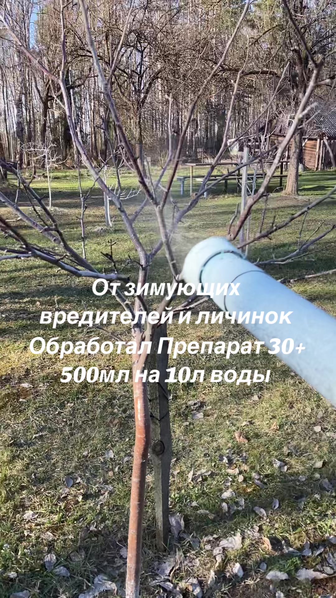 @сад🍏🍒🍇