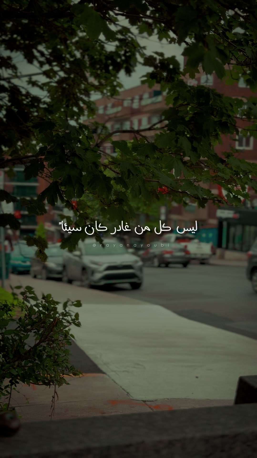 @Rayan El Ayoubi