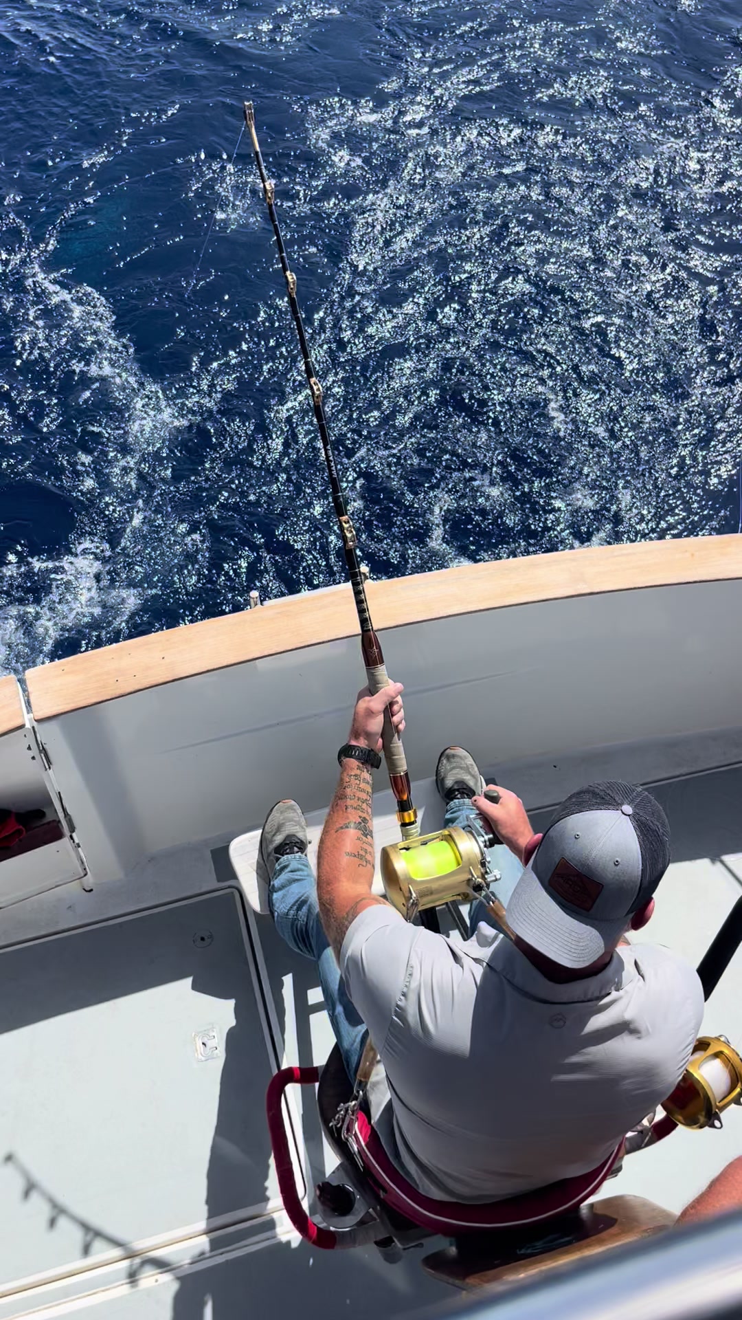 @Flipper II Madeira Fishing