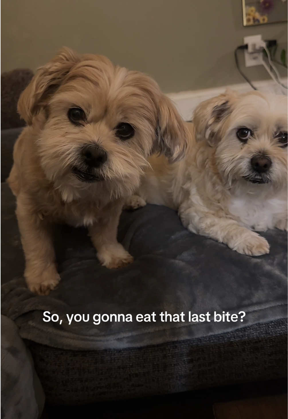 @Becca