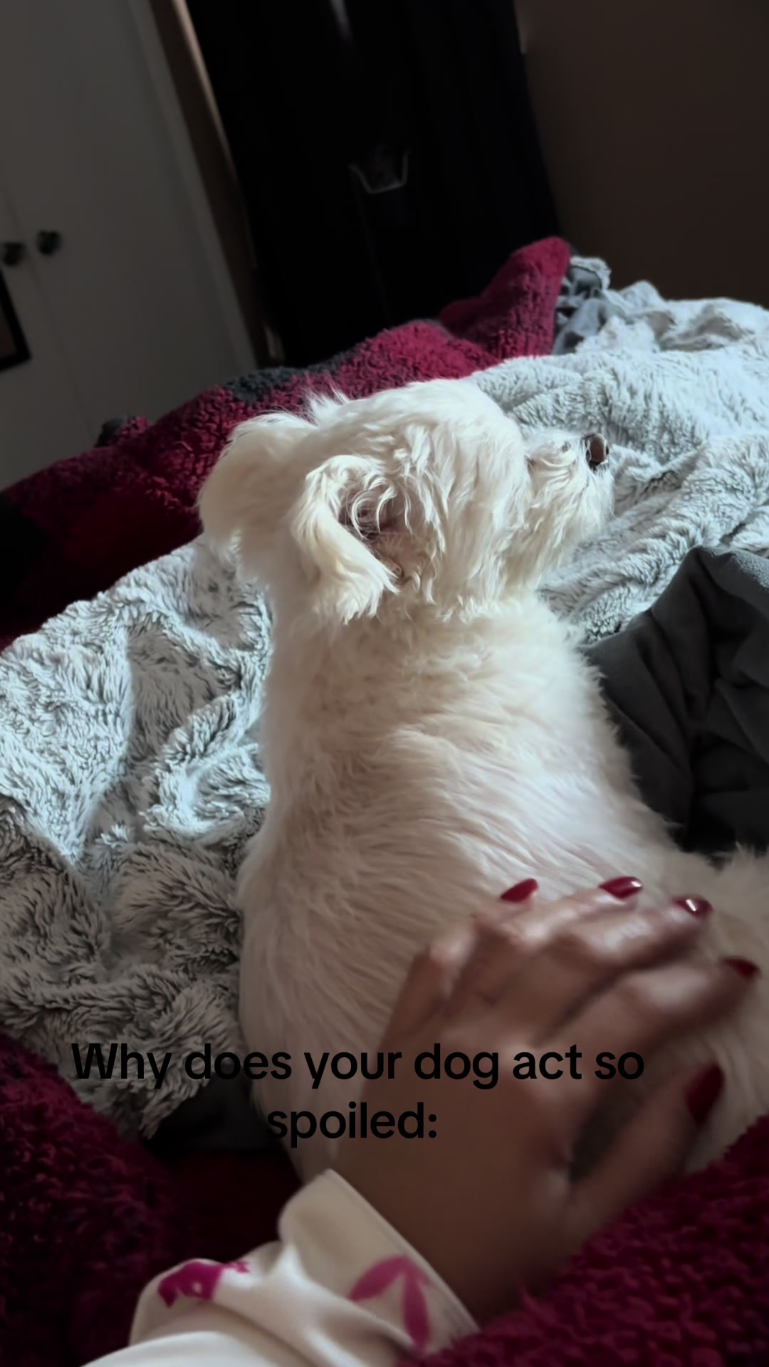 @Mari