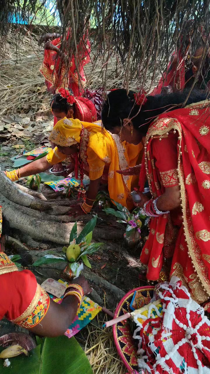 @cngsunita
