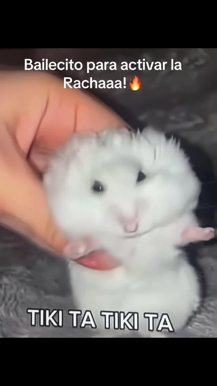 @Sarita1321❤️