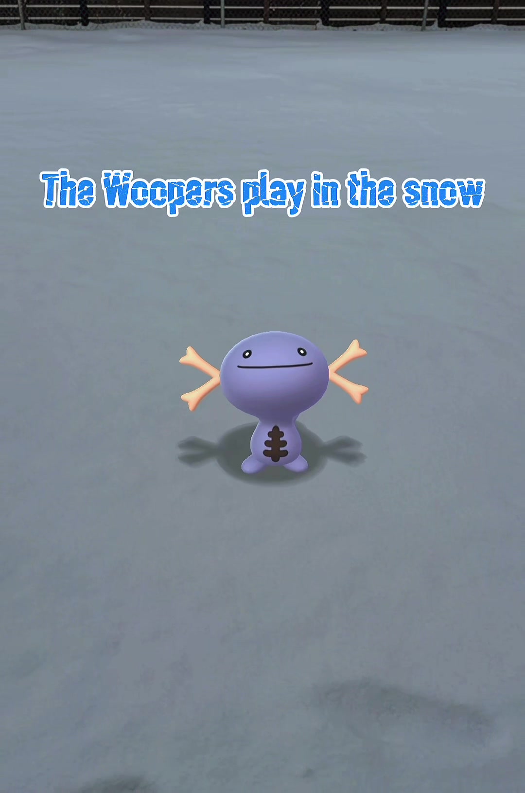 @The Wednesday Wooper