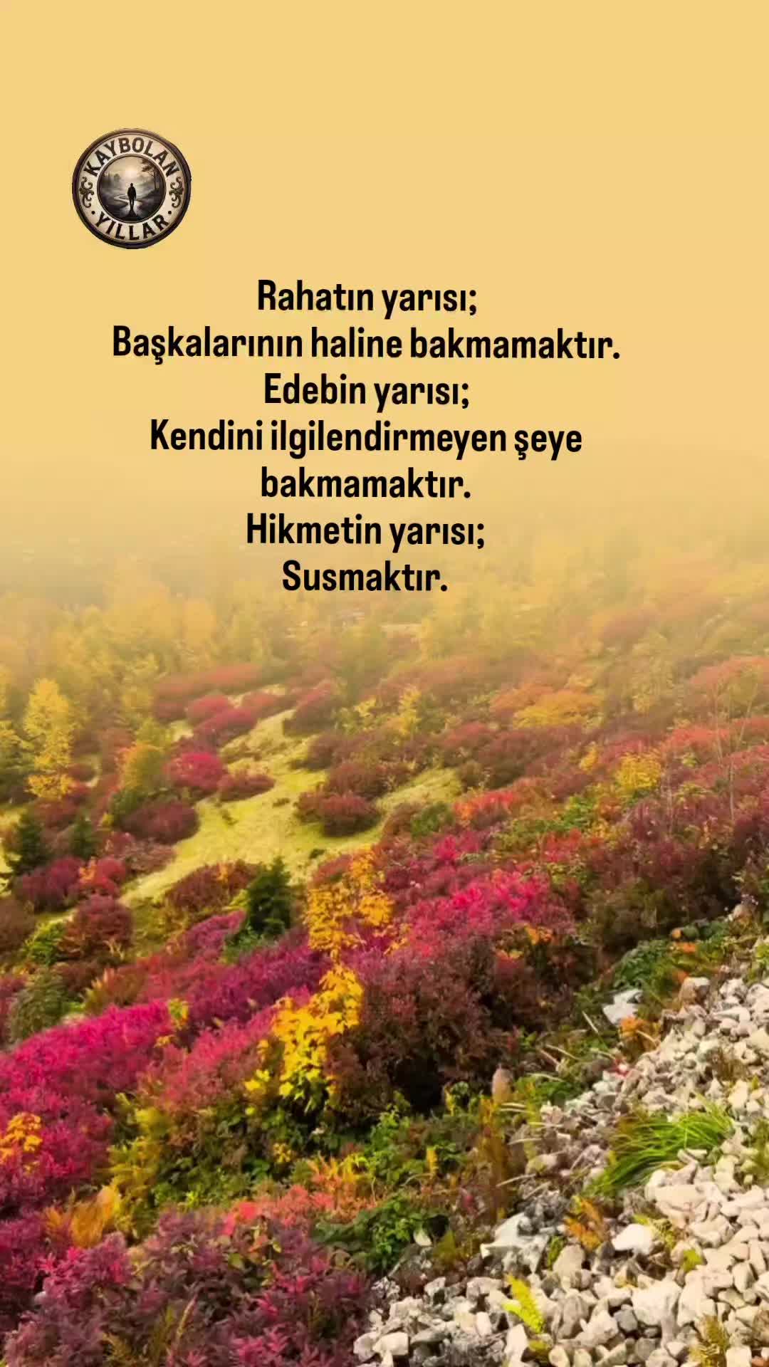 @𝐊𝐚𝐲𝐛𝐨𝐥𝐚𝐧 𝐲ı𝐥𝐥𝐚𝐫