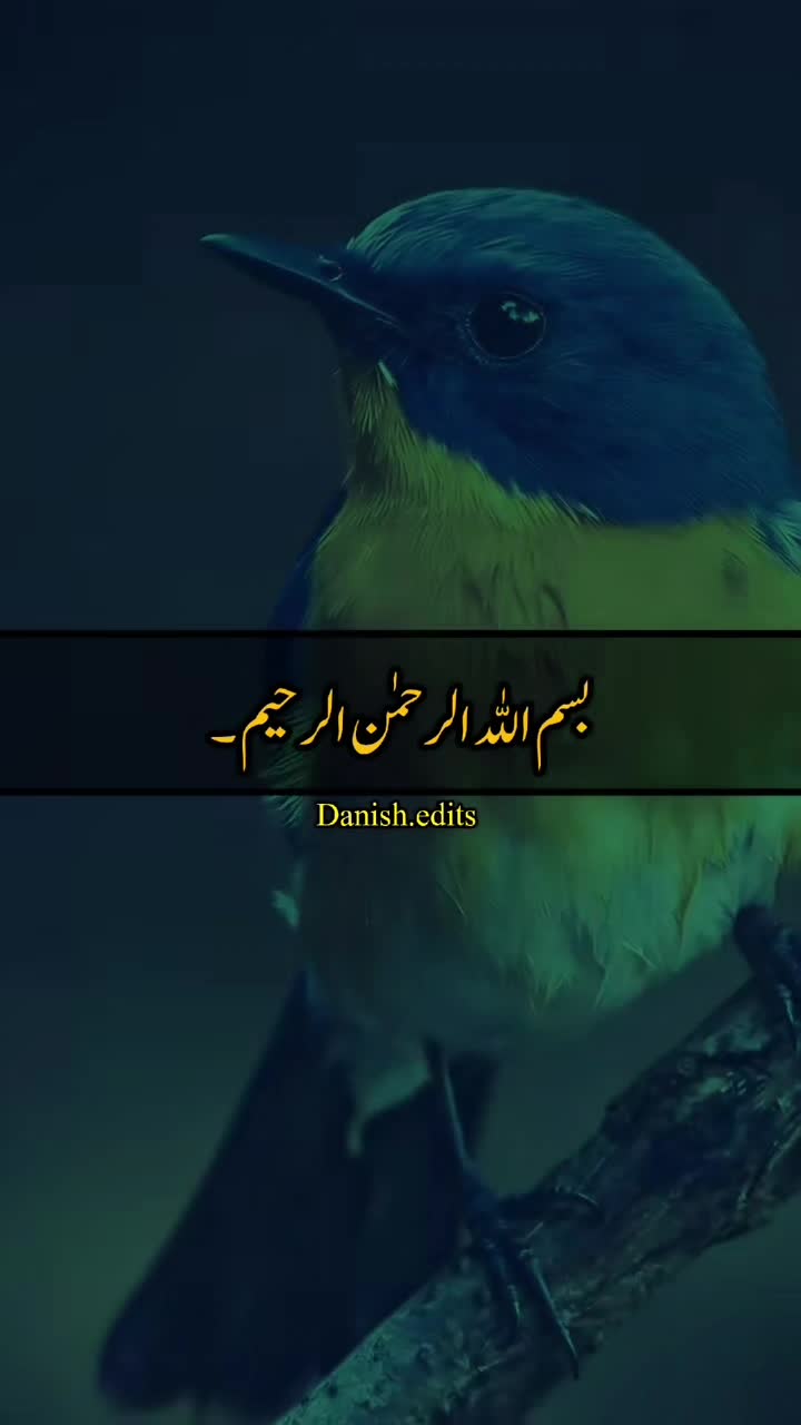 @malikmalik Yunus