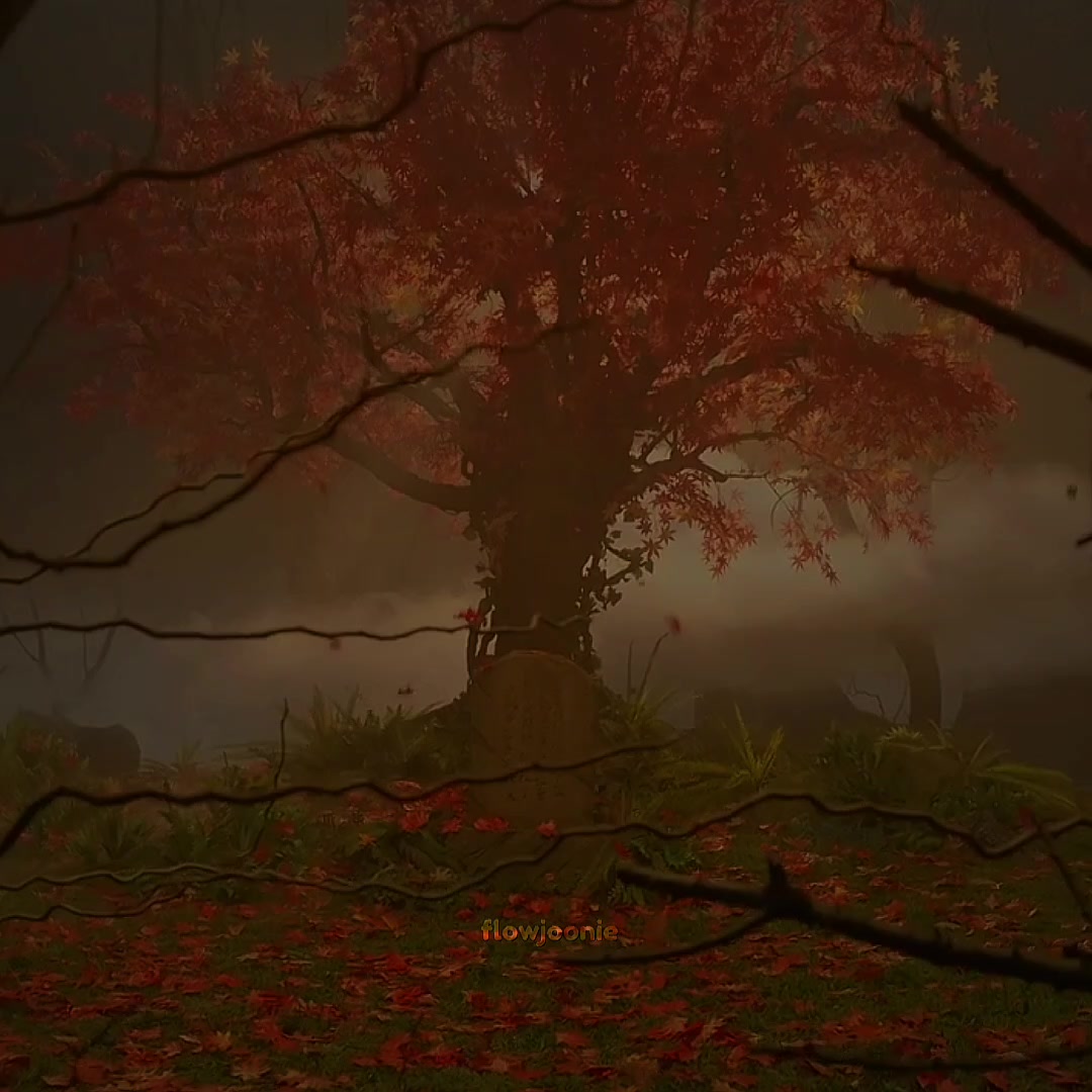 @丰 ౿  ׁׅ𝐕𝐚𝐥𝐞𝐫𝐲 এ 丰