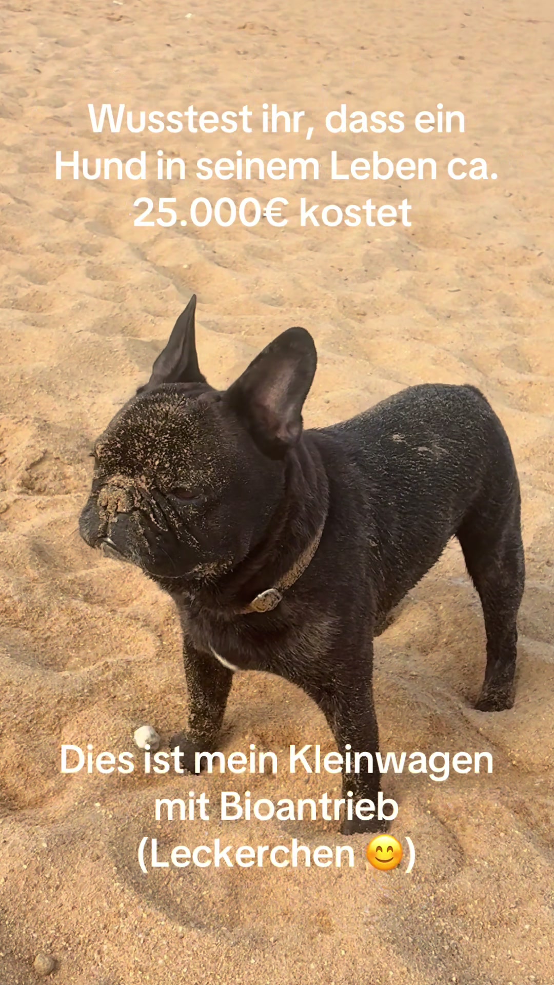 @The_chaos_frenchi