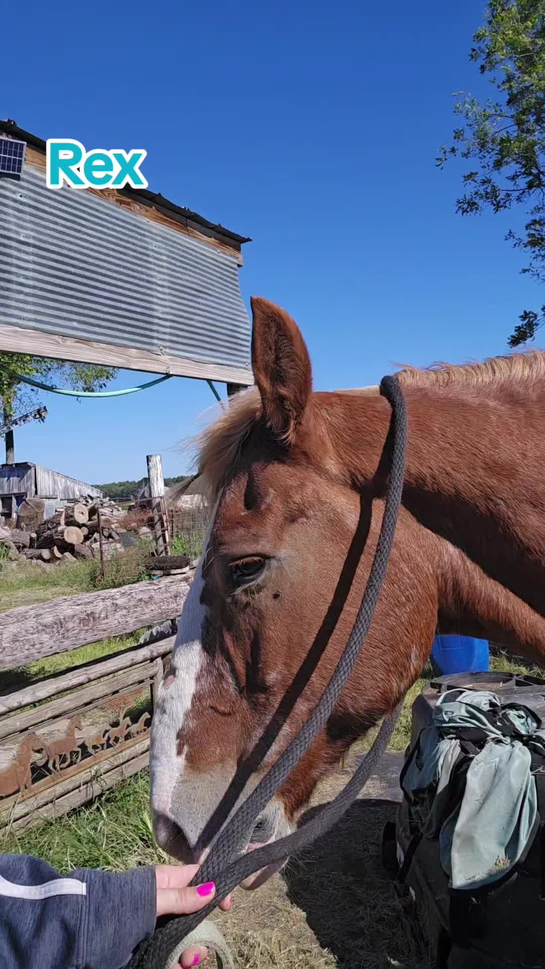 @Small Town Farm LLC