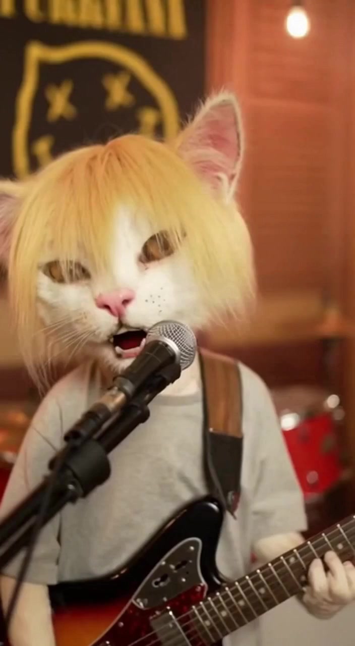 @Nirvana Cats