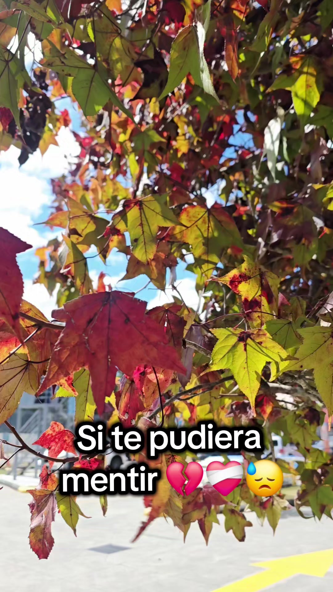 @Ob.Santos