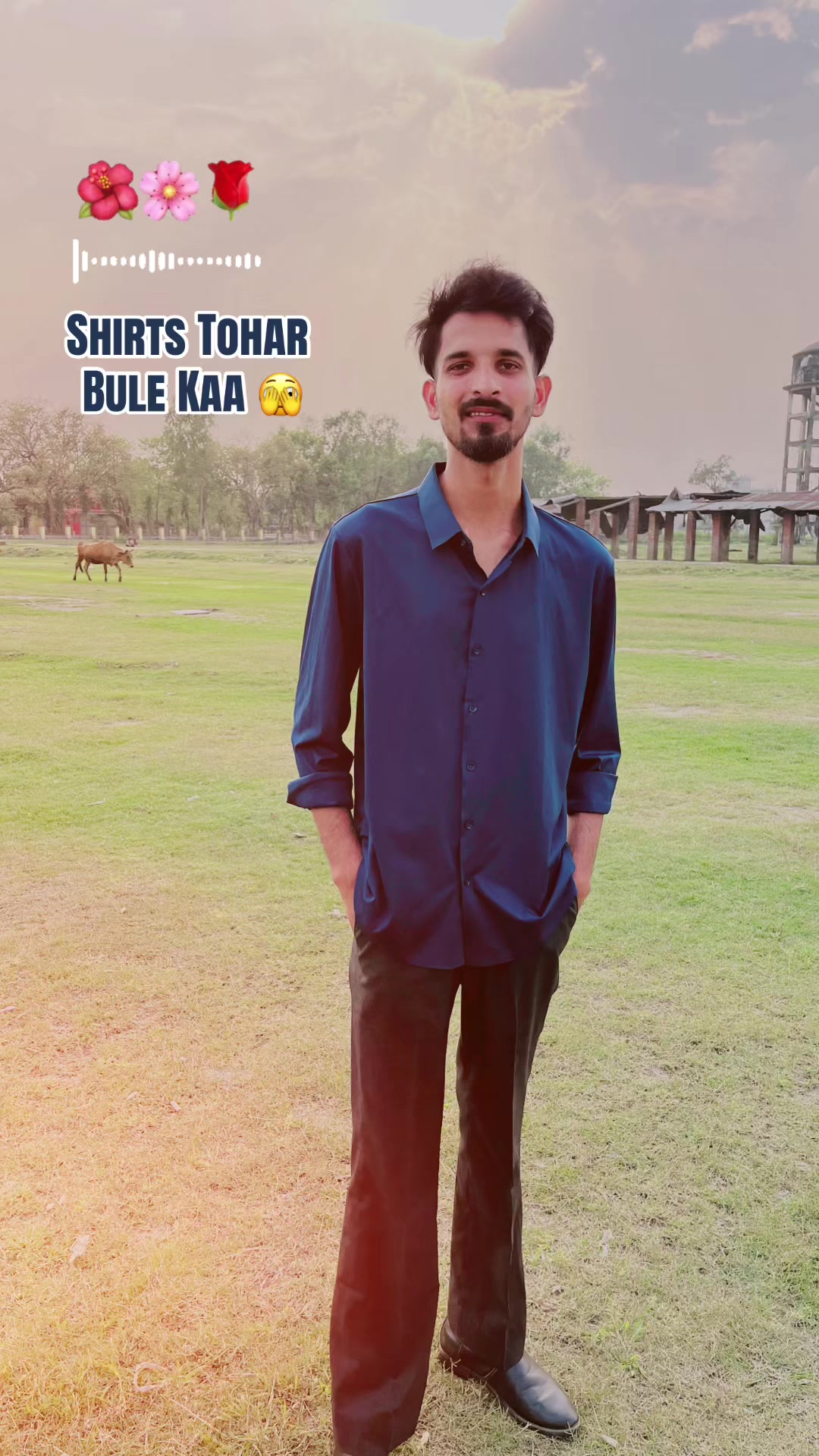 @safroj hawari