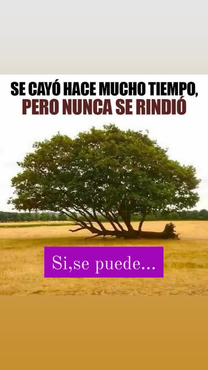 @JaimeHospitalet@donate62-X