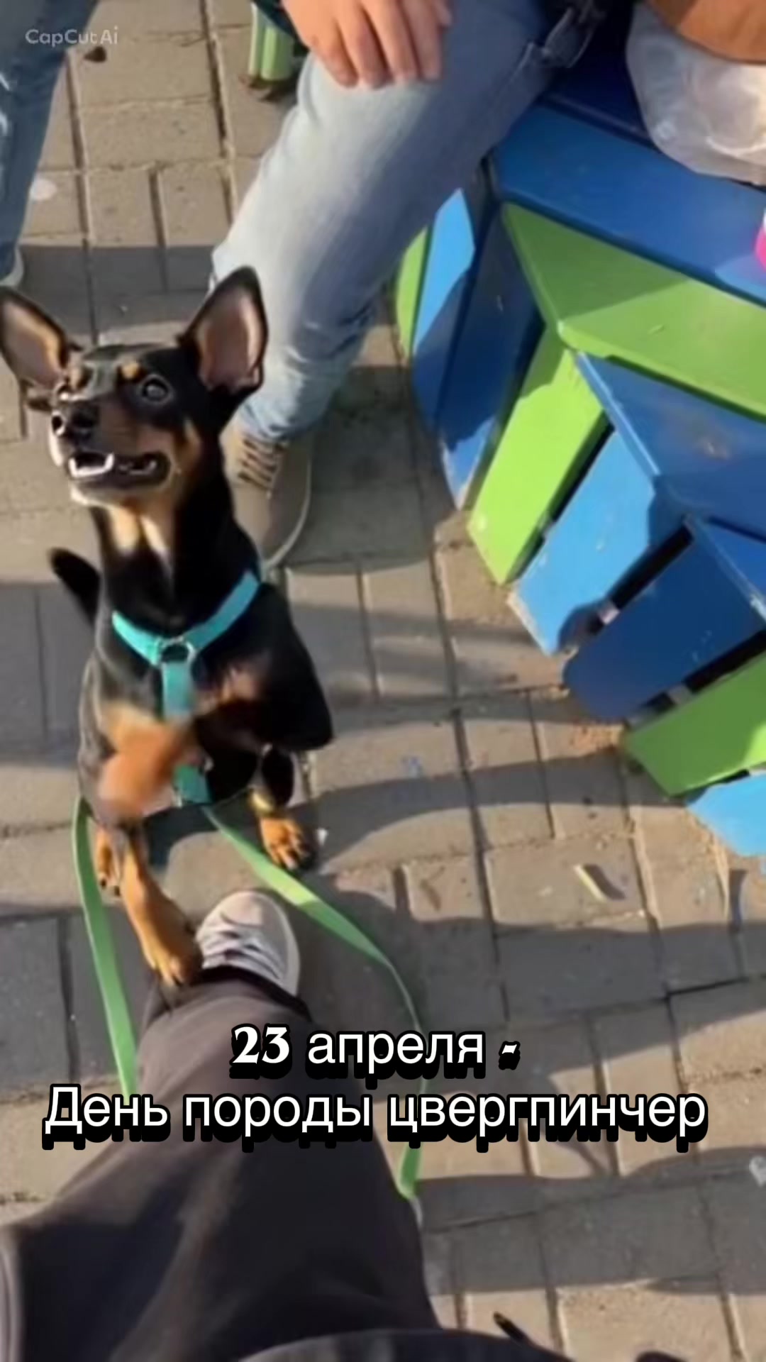 @Розовая бестия