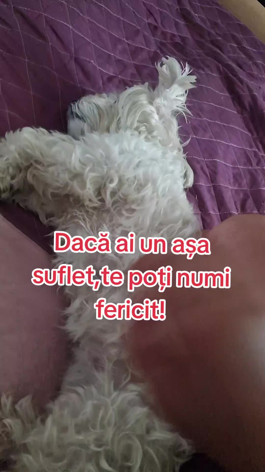 @Sabina