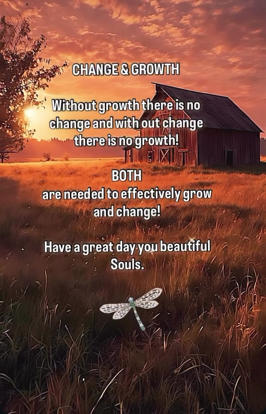 @❌-Yvonne-positive vibes