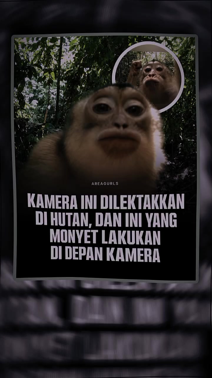 @Maruzzzz