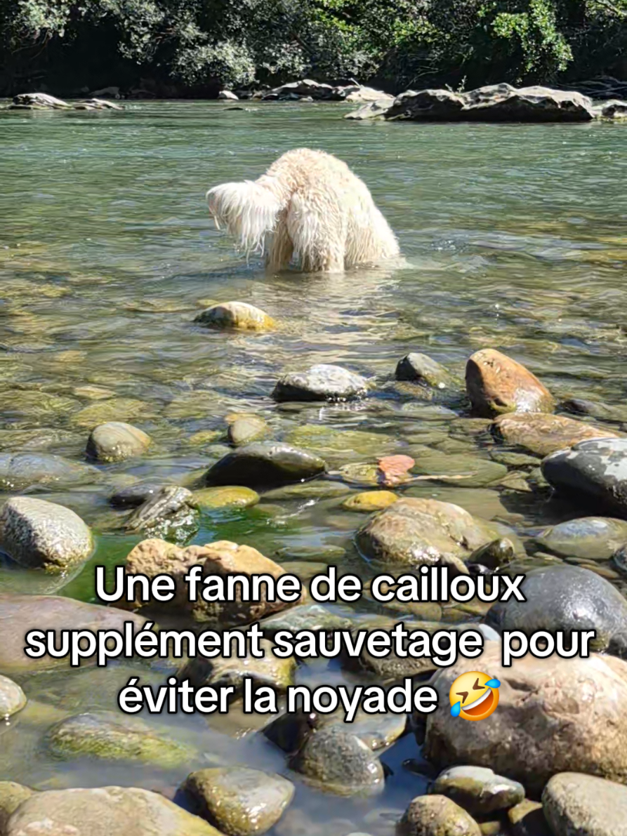 @Manon🌹