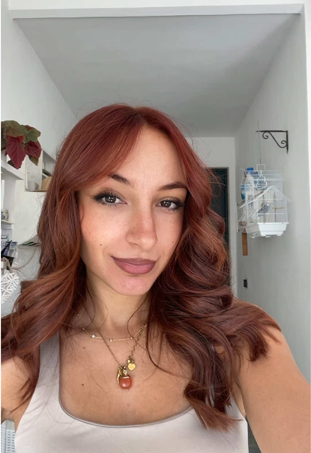 @vanessa