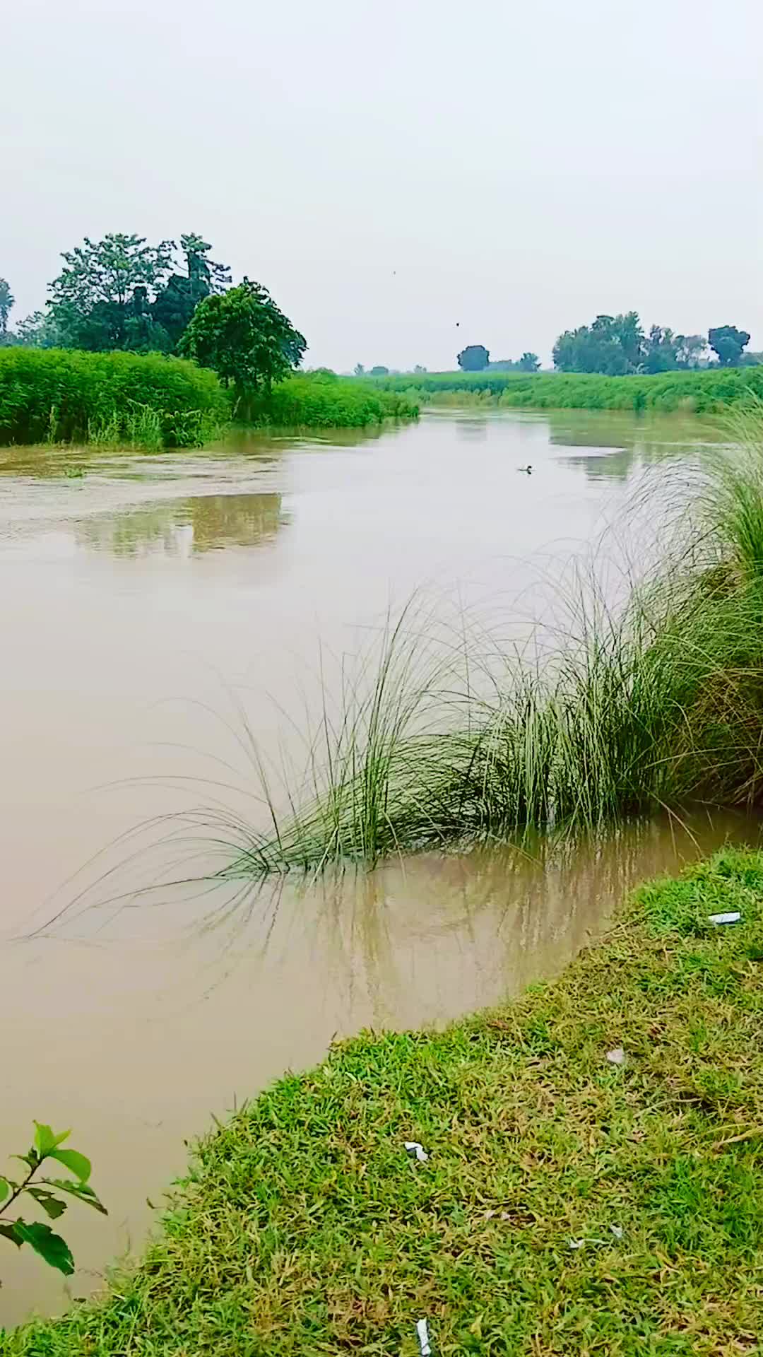 @প্যাঁচা..🦉