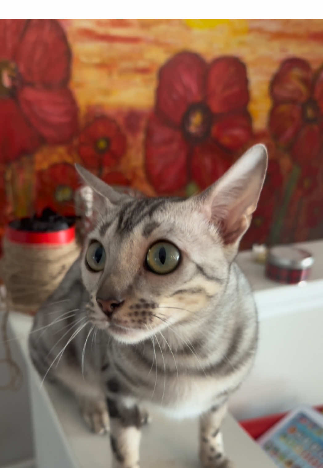 @Sagethebengal