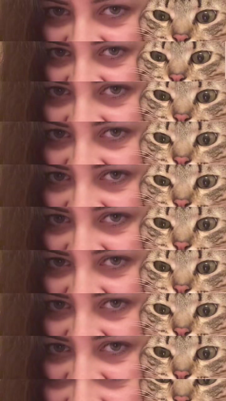 @Elisa Boni