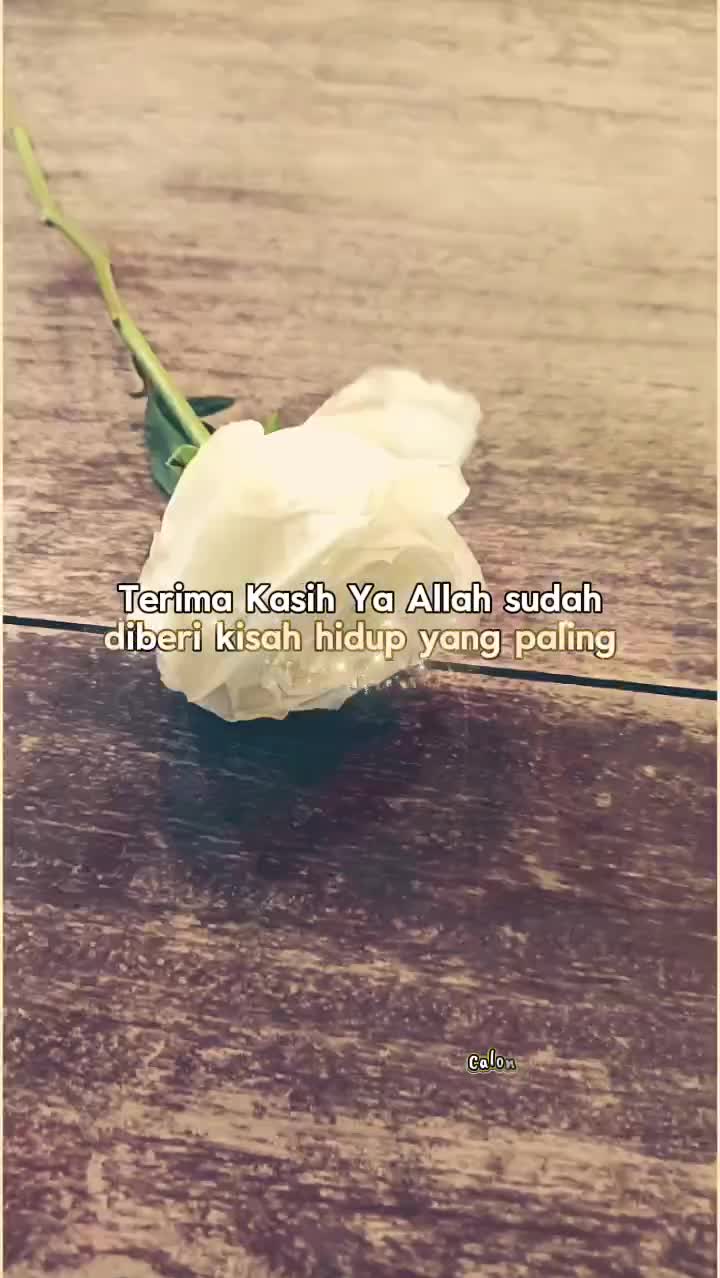 @🌺ℂ𝕒𝕝𝕠𝕟 𝕁𝕖𝕟𝕒𝕫𝕒𝕙🌺