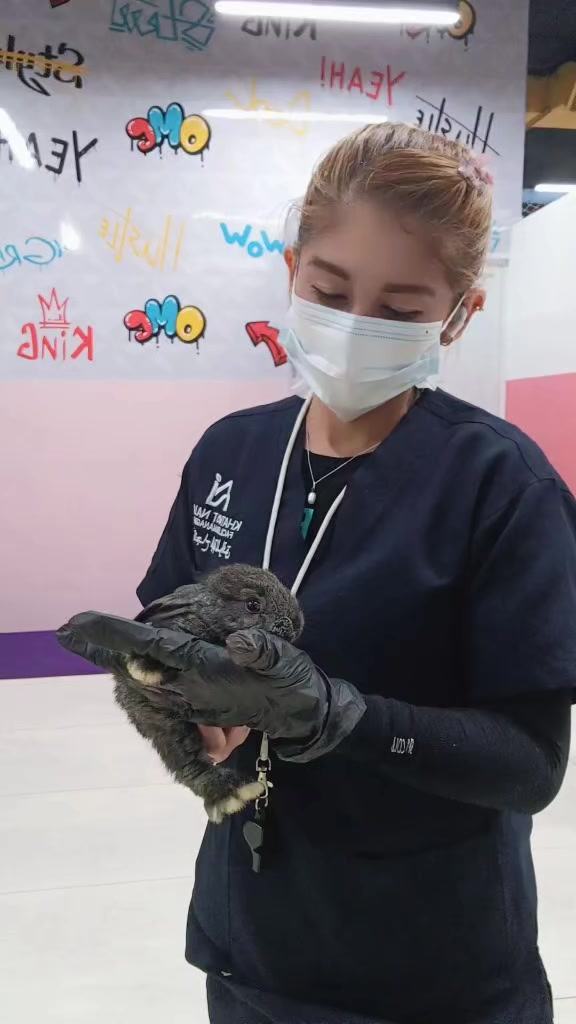 @Smile  😊 ❤️  🇸🇦