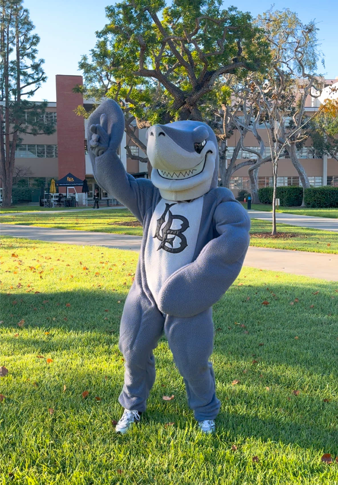 @csulbstudent
