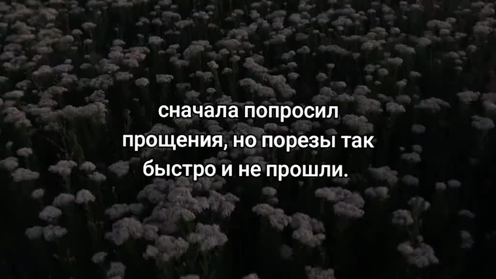 @стояк олега