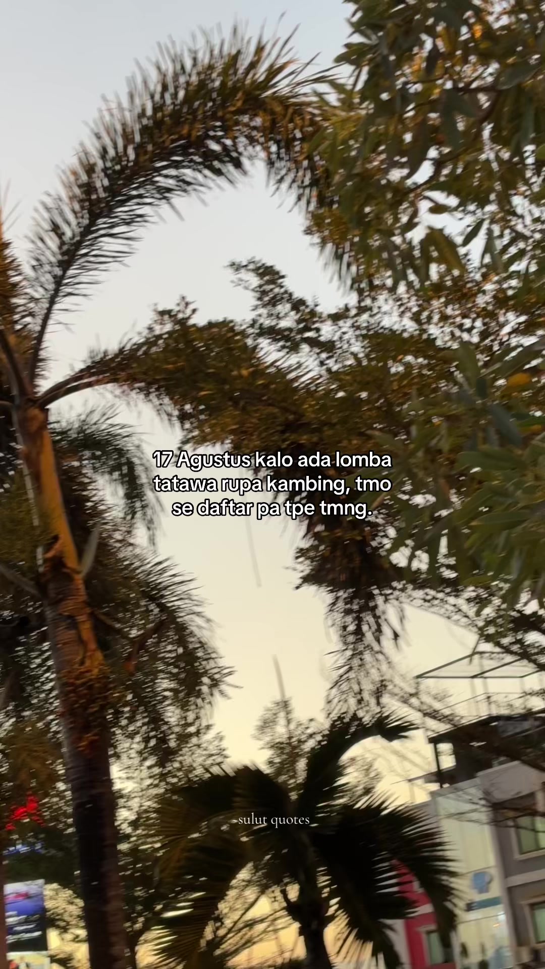 @Sulut Quotes