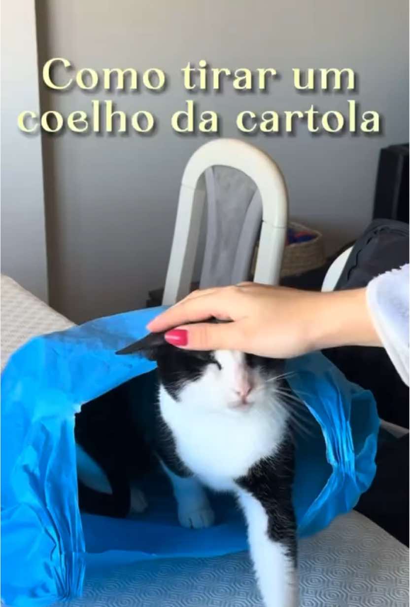 @Aventuras da Danny